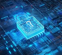 <b>成都爱巢人装饰工程有限公司布局家装新模式，引领品质生活趋势</b>