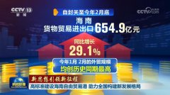 【新思想引领新征程】高标准建设海南自由贸易港 助力全国构建新发展格局