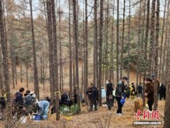 吉林辽源公益树葬累计安葬逾1600位逝者